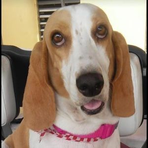 Meet your Posher, Camila